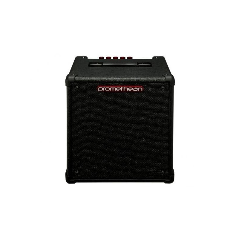 Ibanez Promethean P20U - Amplificatore Combo per Basso elettrico 1X8" 20W